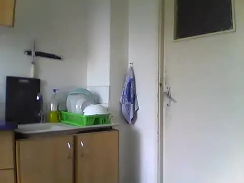 IncanCascades live cam
