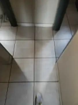 AlgeeBoksburg live cam on Stripchat