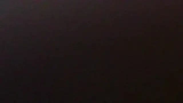 WildConnection05 live cam