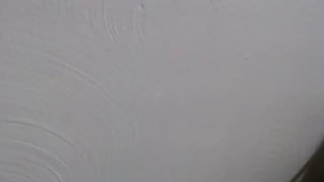 studlyhardwoodd live cam