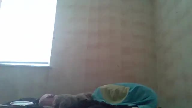 bigtiteclipse live cam
