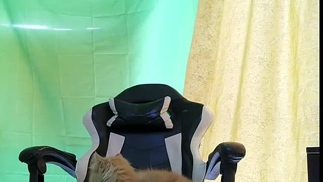 aronmiller404 live cam