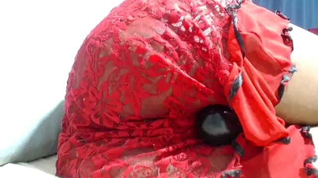 Bracylia live cam