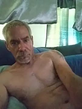 Biknight live cam