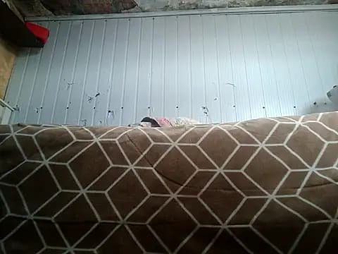 frotasso live cam