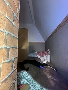 Svetlysvet live cam