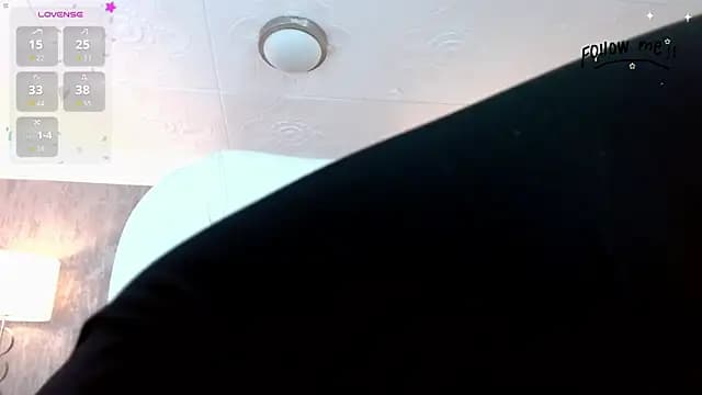 aria_li live cam