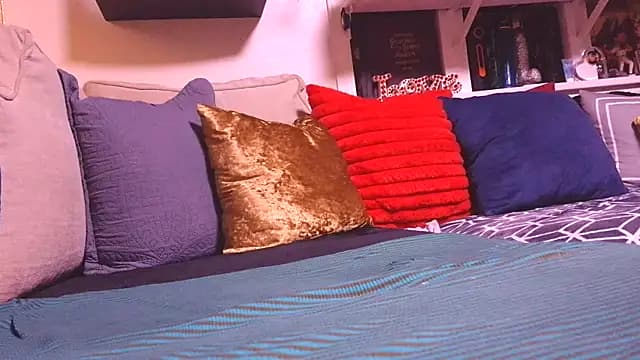 0SEANX live cam