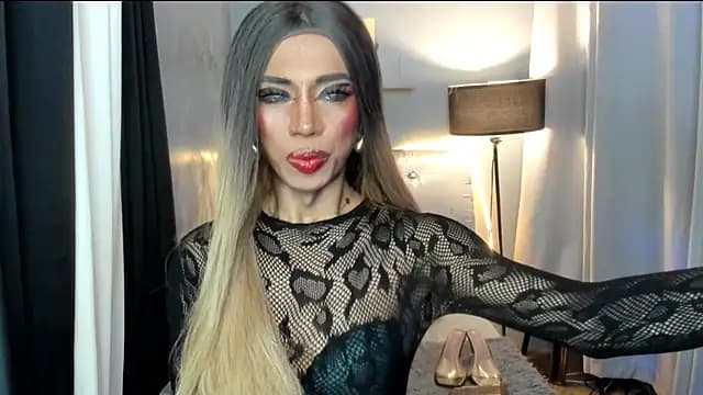 TsBlackHORSECOCKcalix live cam