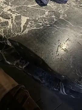 Meii-meyy live cam