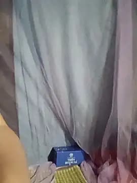 tomtit123 live cam