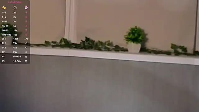 ViGaffey live cam