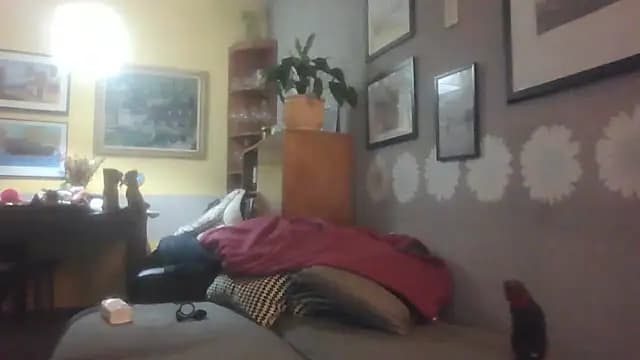 Prehistorixxx2686 live cam