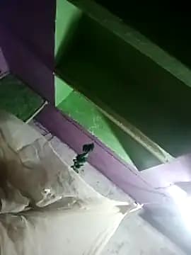 Kinjal_setty live cam