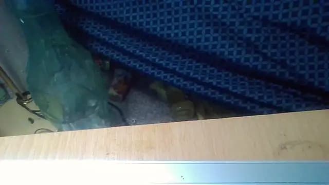 zdaddymm live cam
