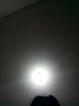 wbrankinha live cam