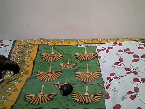 Miss_rihanna live cam