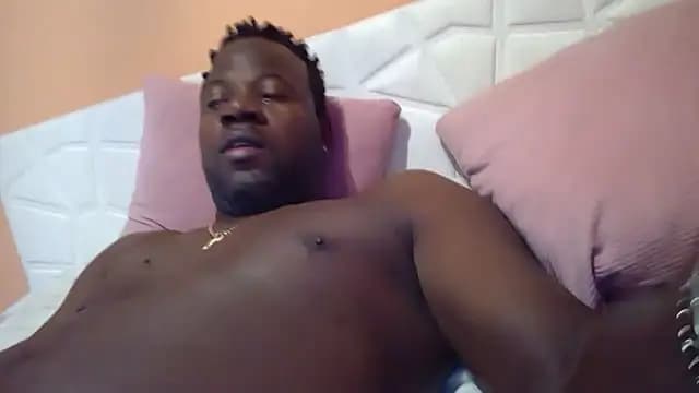 pumapatri live cam