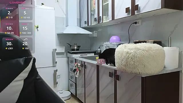 RyanStorm_ live cam