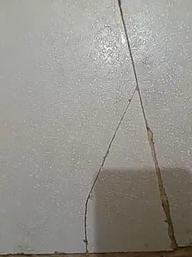 Divya3107 live cam
