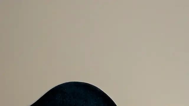 ellie_wilsson live cam