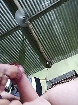 Haliya8 live cam