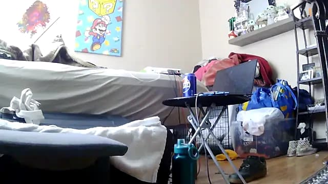 PapaBearGap3dAnal live cam