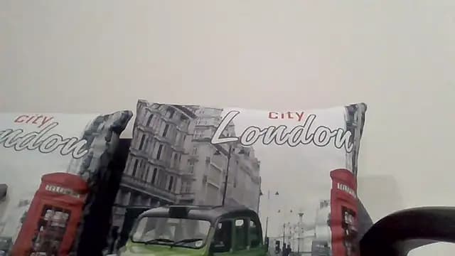 _Linsyy_ee_ live cam