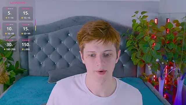 Allert_ live cam