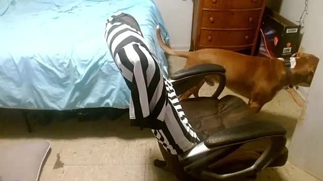 DADDY_KANE8-- live cam