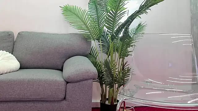 VivianneNicole live cam