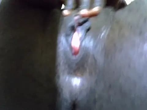 moviahlove live cam