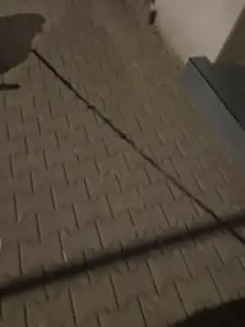 PublicMarekFlashDick live cam