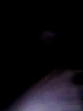 tomtit123 live cam