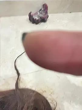 Cutiepie live cam on Stripchat