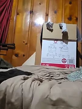 bear8t live cam