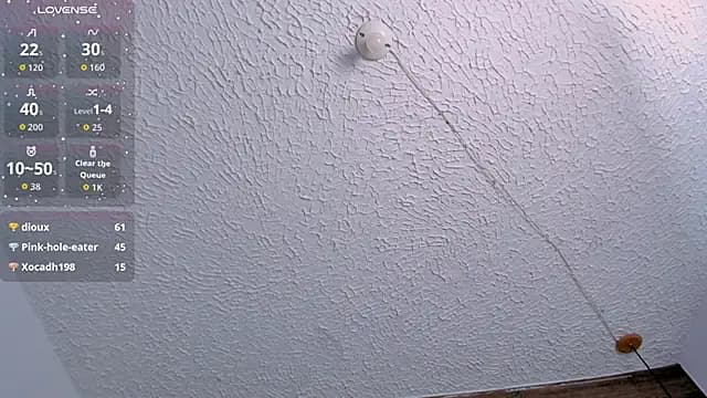 flamin_ live cam