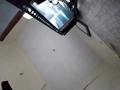 bigvorn6 live cam
