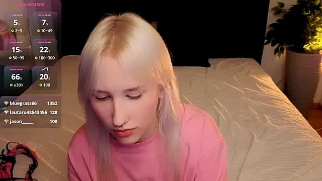evlica live cam