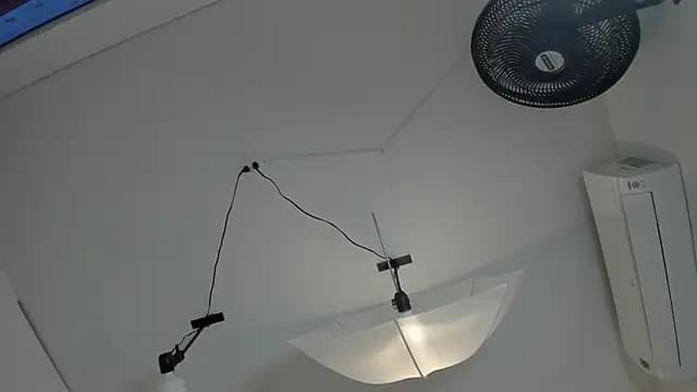 Taylor_Royal_ live cam