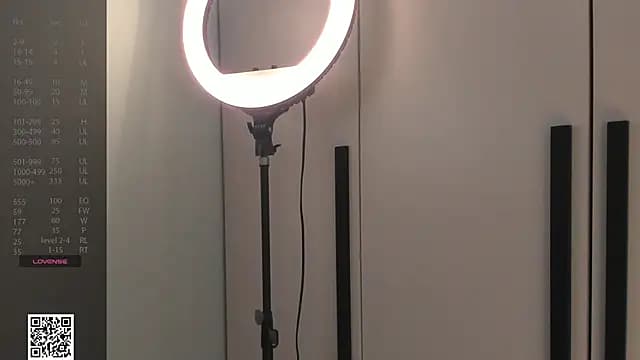 LubaStadt live cam