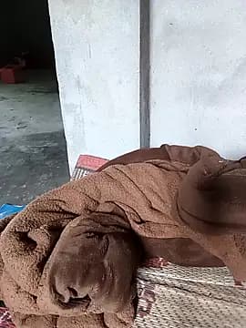 Beola-mi live cam
