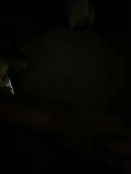 GusanoDelicioso live cam