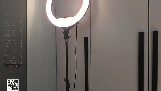 LubaStadt live cam