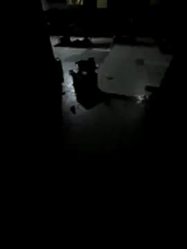 feder2023 live cam