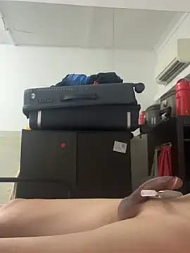 grygj live cam