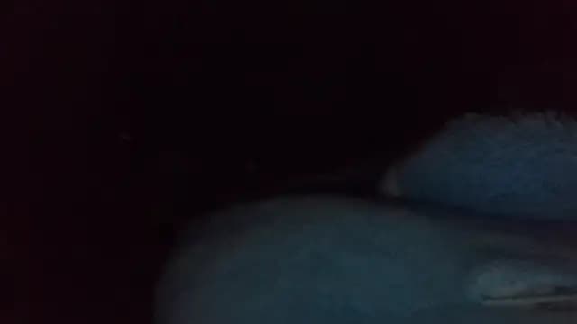 shag369 live cam