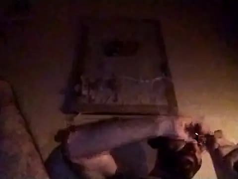 alex87daco live cam