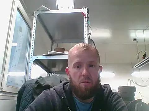 bardiauto live cam