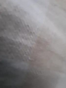 Edu235 live cam